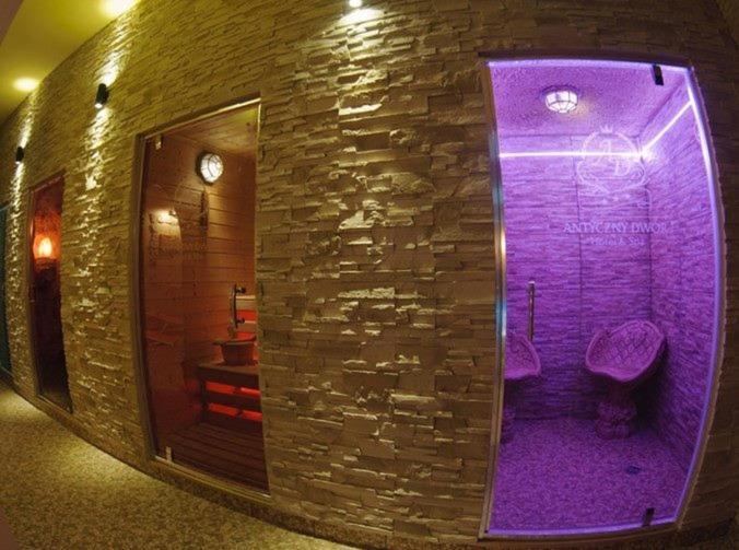 Hotel Wellness & Spa Antyczny Dwor Rudna Mala Dış mekan fotoğraf